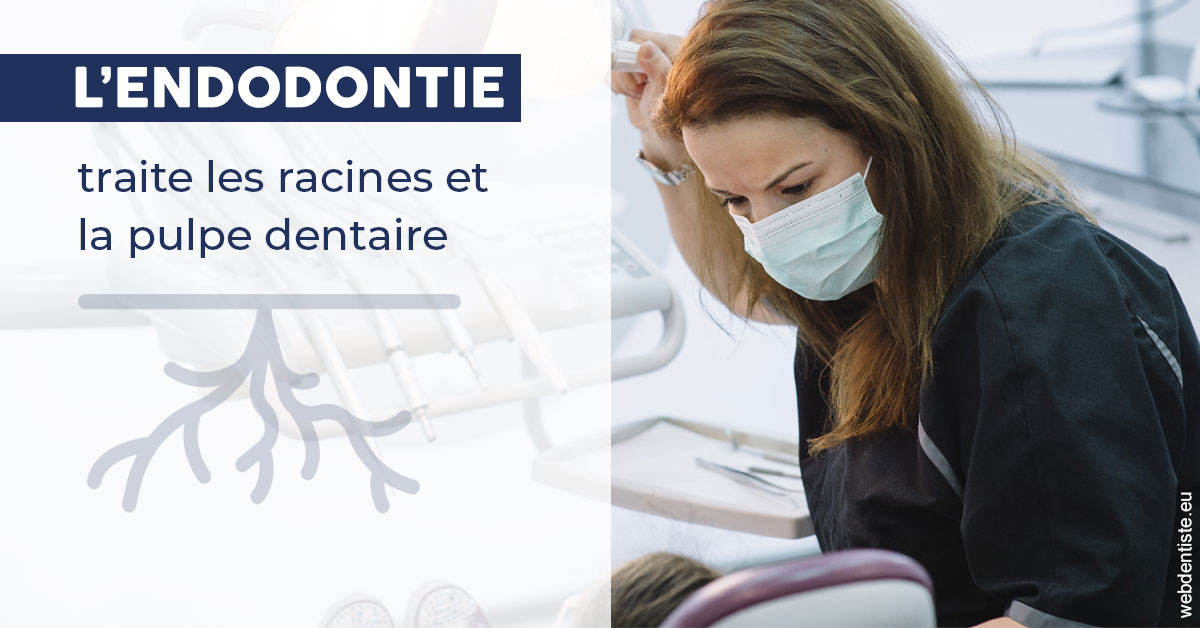 https://dr-guigue-eric.chirurgiens-dentistes.fr/L'endodontie 1