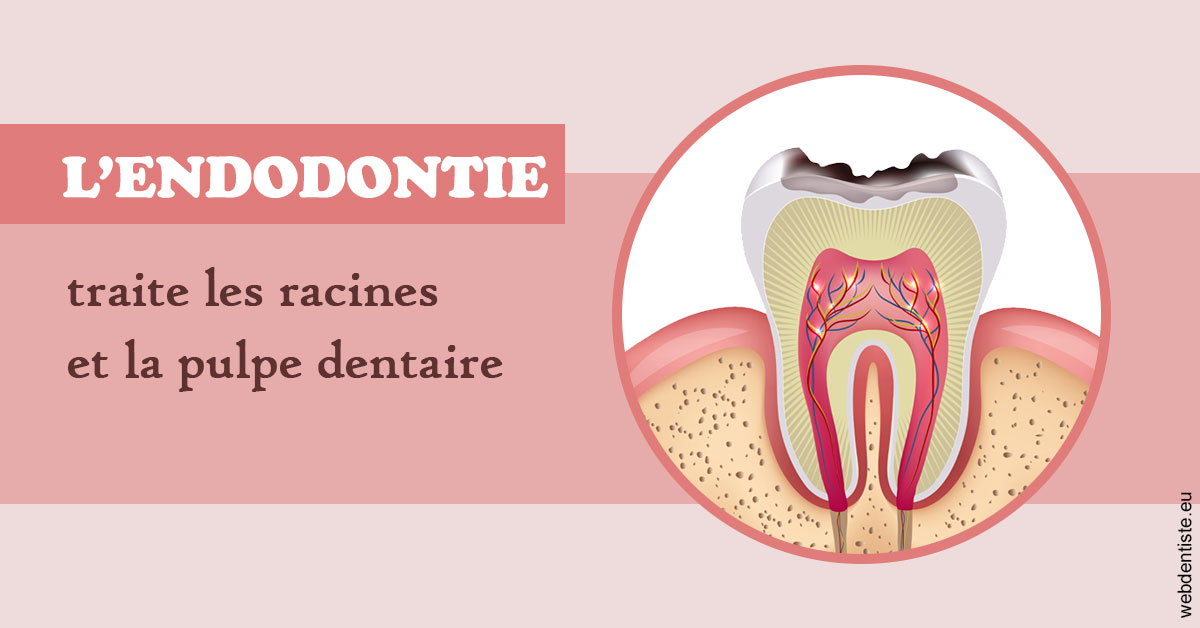 https://dr-guigue-eric.chirurgiens-dentistes.fr/L'endodontie 2