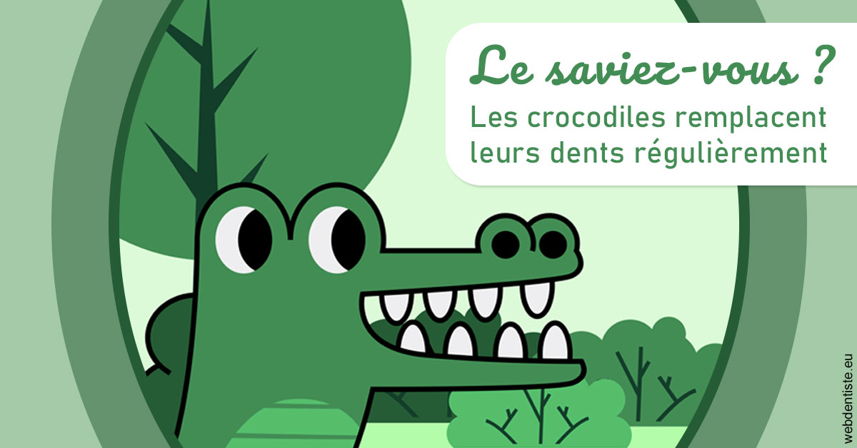 https://dr-guigue-eric.chirurgiens-dentistes.fr/Crocodiles 2