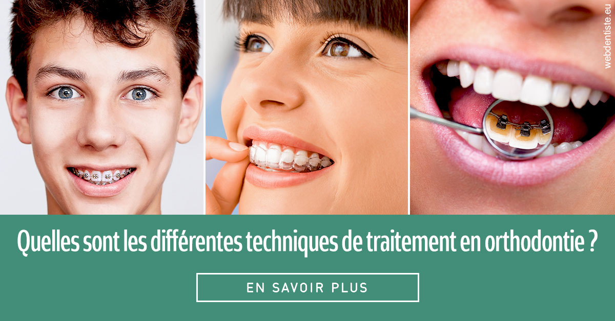 https://dr-guigue-eric.chirurgiens-dentistes.fr/Les différentes techniques de traitement 2
